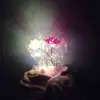 mistyburchfield - @mistyburchfield - TikTok