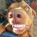 Misty Casto - Facebook
