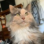 Shannon - @mistychicky1010 - Instagram