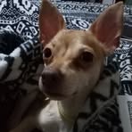 Misty Coker - Facebook