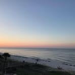 Misty Conklin Whitworth - Facebook