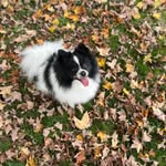 Misty Hawkins Corley - @misty_hawkins_corley - Instagram