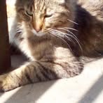 Misty Cramer - Facebook