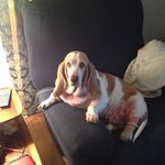 Misty Criswell Baril - @mistybaril2006 - Instagram