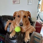 Misty Criswell Baril - Facebook