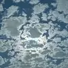 Misty Crow - @misty.crow5 - TikTok