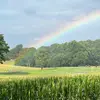 mistydeckard771 - @goatrun2215 - TikTok