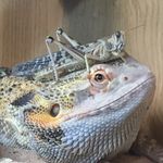 Dempseyandmisty - @dempseyandmisty - Instagram