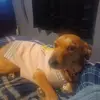 Misty Dowd - @misty.dowd - TikTok