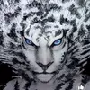 mistydube120.         misty - @mistydube120 - TikTok
