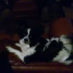 Misty Ellerbee - @mistyellerbee - Instagram