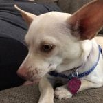 Misty_Escobar - @misty_escobar2617 - Instagram