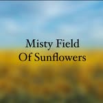 🌻 - @misty_fields_of.sunflowers - Instagram