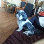 Misty Gerber - @misty.gerber.71 - Instagram