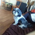 Misty Gerber - @gerber5256 - Instagram
