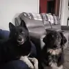 Misty Hanson - @misty.hanson6 - TikTok
