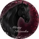 𝑀𝒾𝓈𝓉𝓎 𝐻𝒶𝓌𝓀𝓈 - @mistyyhawks - Instagram