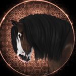 𝑀𝑖𝑠𝑡𝑦 𝐻𝑎𝑤𝑘𝑠 - @misty.hawks.official - Instagram