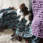 Leigh Hinkle - @misty.hinkle.589 - Instagram