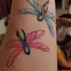Misty Hinkle - @mistyhinkle - TikTok