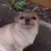 MistyHubbard - @ricarbuzs8c - TikTok