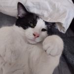 Misty Dawn Jarrell Marks - @misty.grainger - Instagram