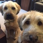 Misty and Jeter McQuillin - @misty.and.jeter - Instagram