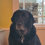 Jett Ridge - @mistyjettridge - Instagram