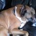 Kipper Misty - Facebook