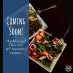 Woods To Table-Misty Loggins - @woodstotable - Instagram