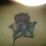 Misty Lopez - @misty.lopez.3954 - Instagram
