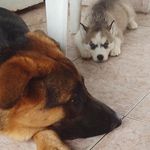 Marley & Misty - @marley.e.misty - Instagram