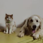 Marley and misty - @marley_and_misty - Instagram