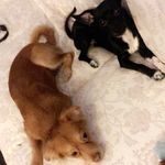 Marley&Misty - @marley.misty - Instagram