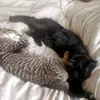 misty&marley - @mistymarley - TikTok