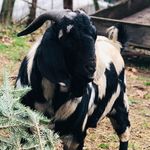 Misty Mathews Trantham - @matthew.trantham.58 - Instagram