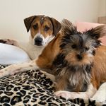 Maxie & Misty - @maxie.misty413 - Instagram