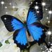 Misty McClendon - Facebook