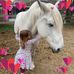 Misty McKenna - Facebook