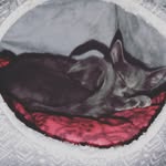 Misty - @m.ist.y_m.oli.na83 - Instagram