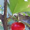 mistymolina2 - @mistymolina2 - TikTok