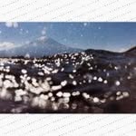 Josephin Schroer - @mistyneumueller560 - Instagram