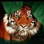 Misty Mulkey - @mismulkey - Instagram