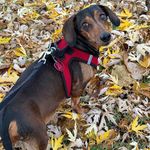 Misty Park Mulkey - @mistymmulkey - Instagram