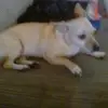mistydawnortega - @mistydawnortega1 - TikTok