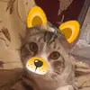MistyOrtega - @krystvei473 - TikTok