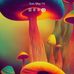 Misty Jarod Parish - Facebook