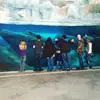 mistyjarodparish - @mistyjarodparish - TikTok