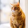 Misty Park - @misty.park - TikTok