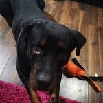 Misty Parsons - @mines_gone - Instagram
